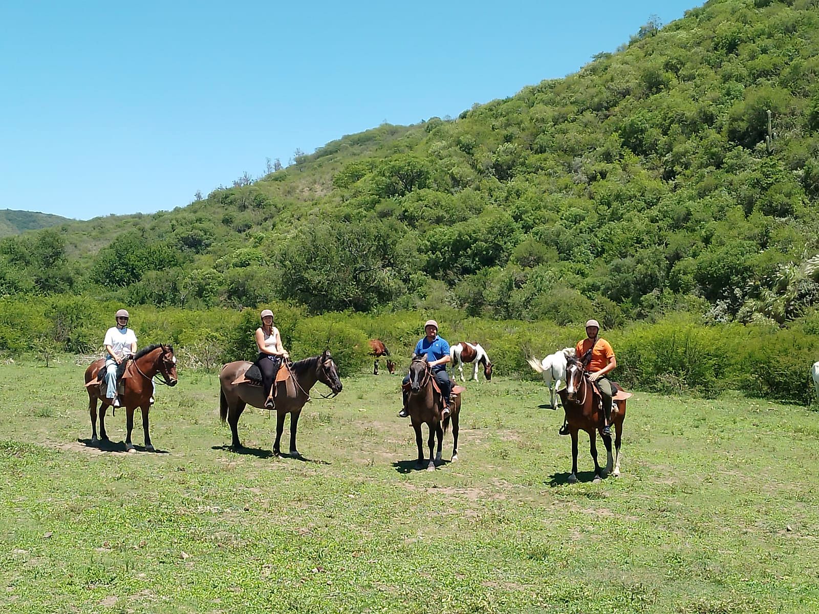 Cabalgata de medio día con asado, por la mañana o por la tarde, Valle de La Quesera, Salta