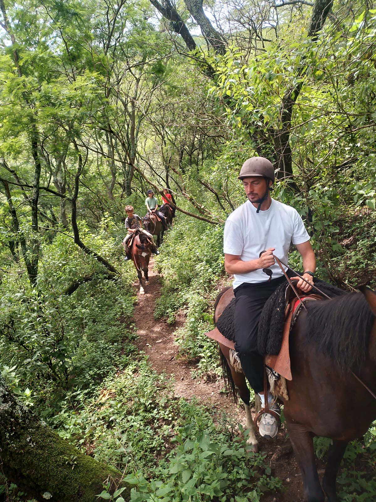 Cabalgata de medio día, por la mañana o por la tarde, Valle de La Quesera, Salta