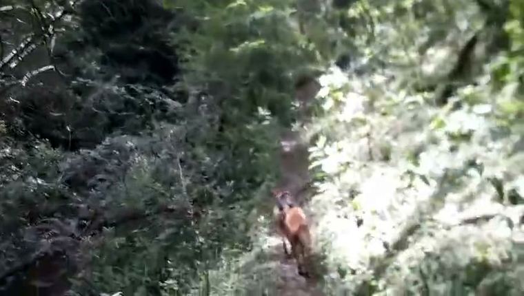 Travesía de tres días — video 4