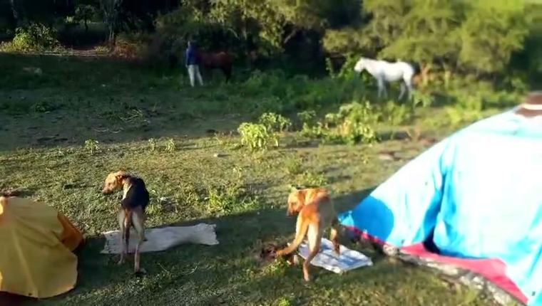 Travesía de tres días — video 6