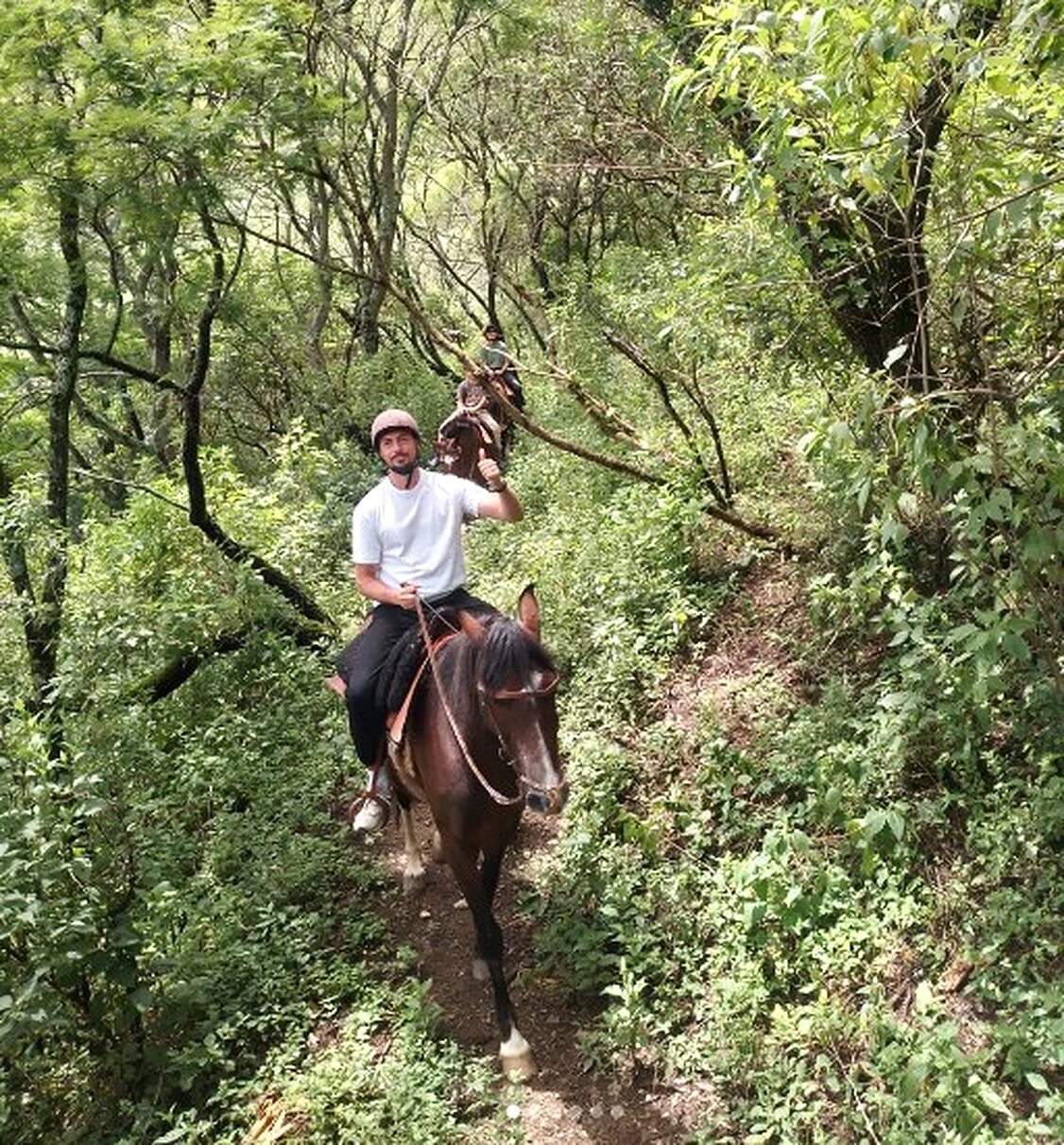 Jinete en las yungas