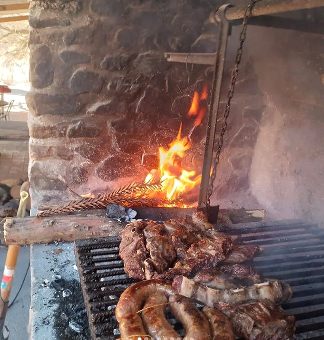 Caballos en el monte salteño