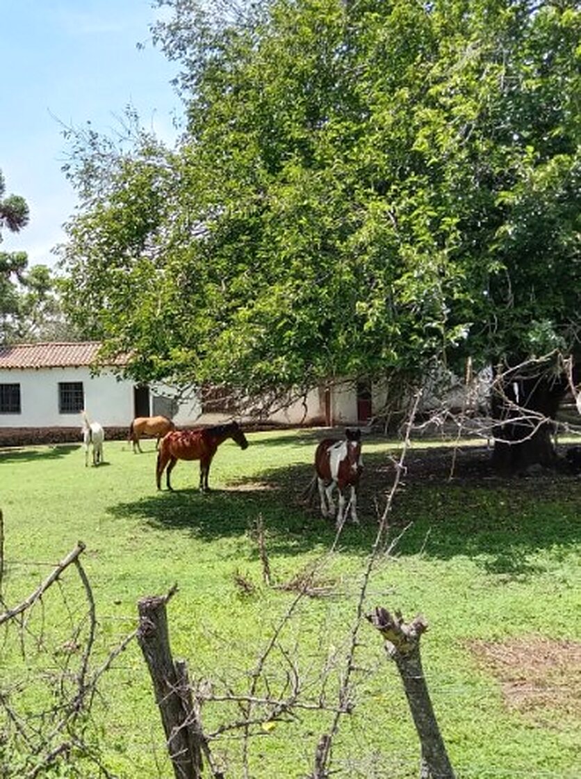 Visitantes a caballo