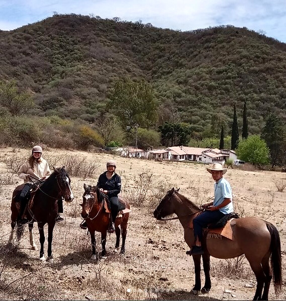El valle desde la montura